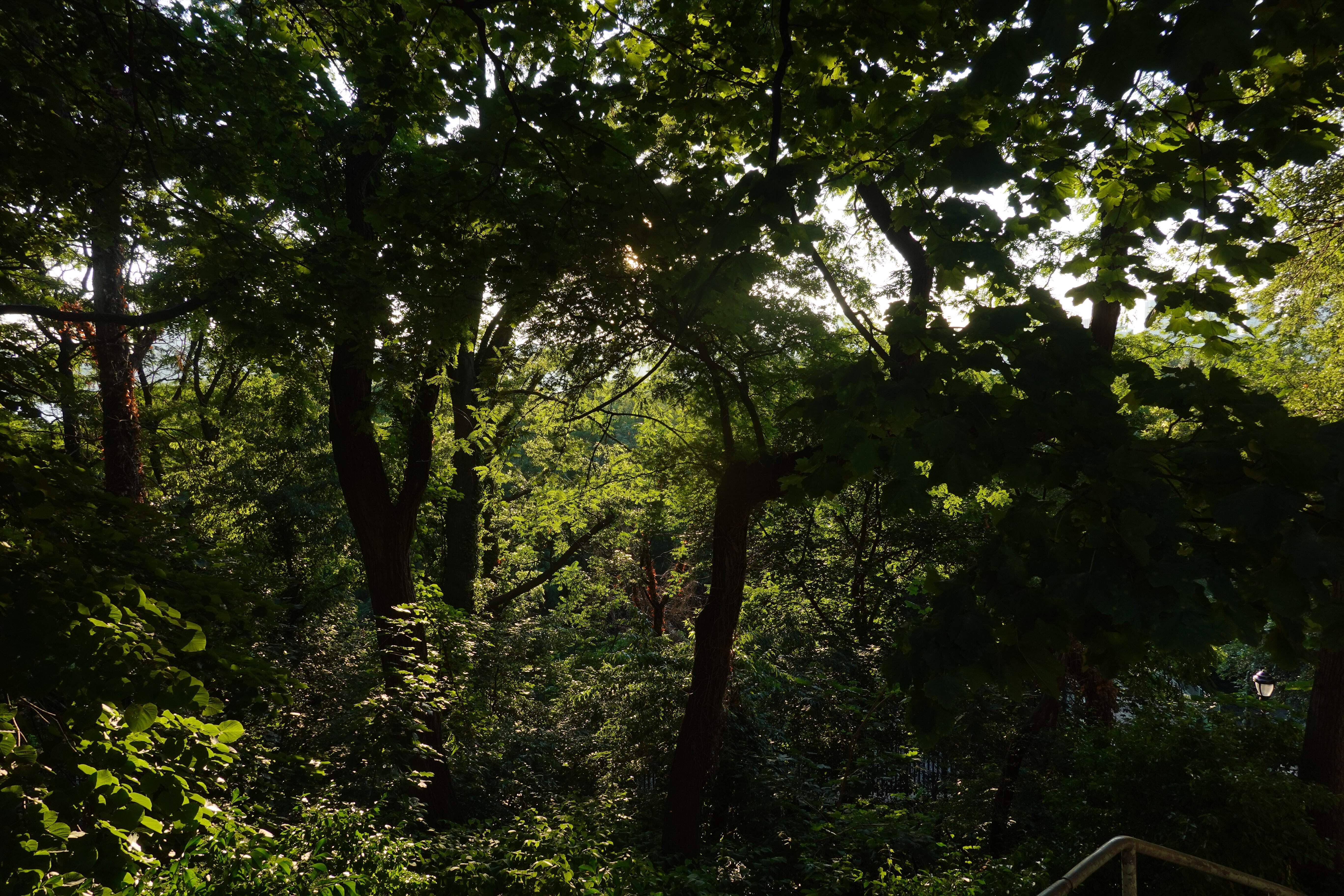 hot girl walks connecting with nature