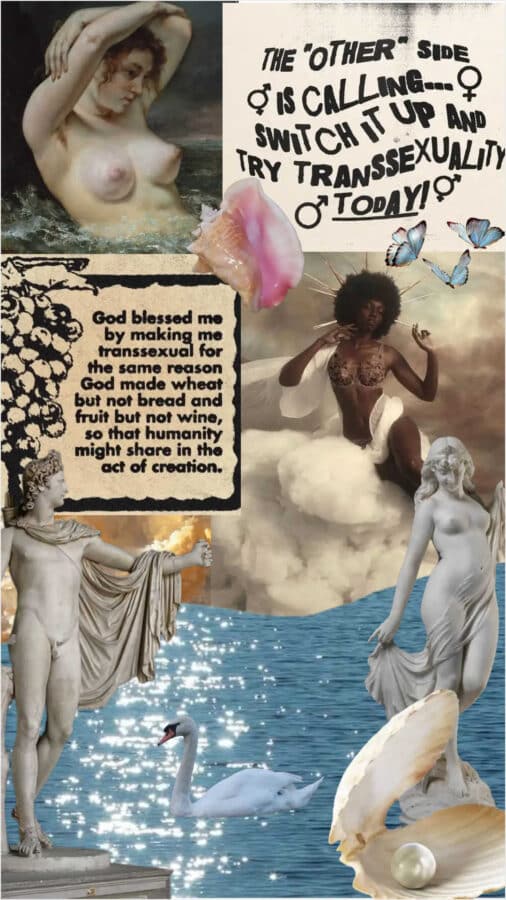 transitioning mtf moodboard